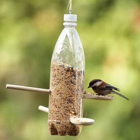 Plastic bottle reused as a bird feeder